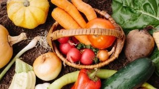 鮮度バツグン！種類も豊富な鎌倉野菜を知ろう