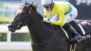 セントライト記念は、春のクラシック未出走の上がり馬３頭に春が来る