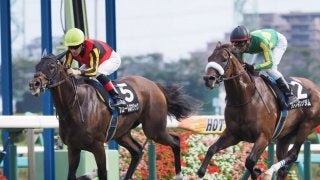 【中山9R/白井特別】圧倒的人気フローレスマジックが完勝