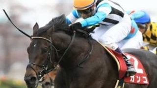 ２強が注目されるオールカマー。休み明けの人気薄３頭が下克上を成す