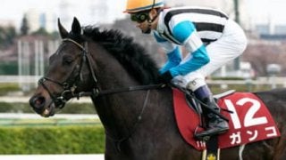 オールカマーは特殊なコース形態も、ガンコが柔軟対応で２強を脅かす