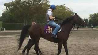 【オールカマー】レイデオロ ルメール「まだ少し重い」