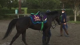 【オールカマー】ゴールドアクター 中川師「気持ちの部分」