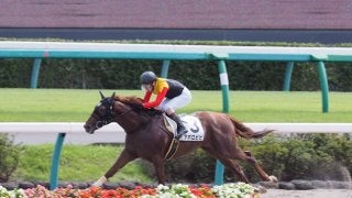 【中山4R/2歳新馬】アポロキングダム産駒 アポロビビがデビュー勝ち