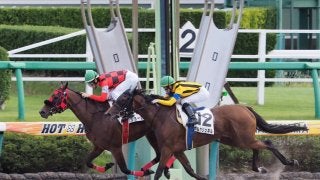 【中山6R/3歳上500万下】ショーカノンが抜け出しV！1万回騎乗武士沢騎手は4着