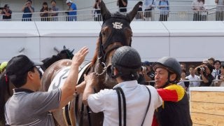日曜中山4Ｒ新馬はアポロビビが快勝！勝浦「もっと良くなってくる」