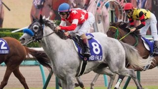 【スプリンターズS】登録馬と見どころ レッドファルクス ファインニードルなど