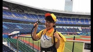 ロッテ売り子ペナントレースがいよいよ大詰め　2位まなみさん「1位を諦めず」