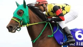 穴党記者が密かに漏らした「隠し玉」３頭がスプリンターズＳで化ける