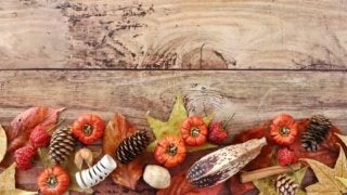 新型秋バテの解消法