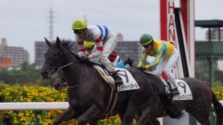 【阪神3R/2歳未勝利】武豊4000勝へあと2！エイティーンガール差し切り