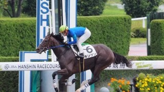 【阪神6R/2歳新馬】ゴールドアリュール産駒 キンゲンが快勝
