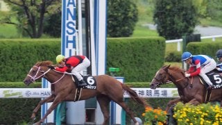 【阪神9R/ヤマボウシ賞】アールロッソが逃げ切りで連勝を決める