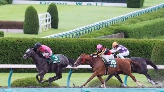 【シリウスS】オメガパフュームが重賞初制覇！