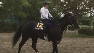 【スプリンターズS】ナックビーナス 杉浦師「完成してきた」