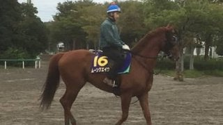 【スプリンターズS】ムーンクエイク 藤沢和師「今度は違うと思うよ」