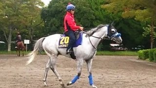 【スプリンターズS】レッドファルクス同一G1三連覇なるか！？