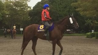 【スプリンターズS】セイウンコウセイ「今年は違う」コンディション良好