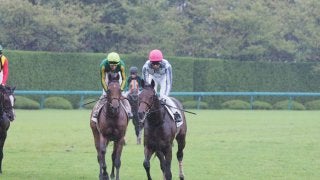 【阪神2歳新馬】武豊「1番乗りやすい」ゴータイミングが差し切り勝ち