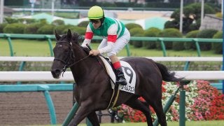 【中山4R/2歳新馬】スクリーンヒーロー産駒 フィルムフェスト圧巻の走り