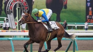 【中山5R/2歳新馬】エアジーンがデビューV！ヴァイスカイザーは出遅れが響き4着