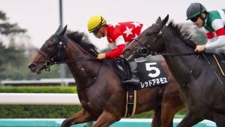 【サフラン賞】レッドアネモス逃げ切り！コントラチェックの追撃を振り切る