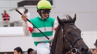 【中山新馬戦】ルメール「短い距離が良い」フィルムフェストが完勝