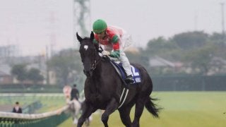 【スプリンターズS】モレイラ「馬場のせいなのか…」関係者コメント