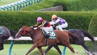 【シリウスS】北村友「この馬ポテンシャルを再確認できました」ジョッキーコメント