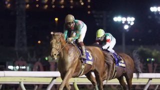 【日本テレビ盃】ケイティブレイブは5枠6番 枠順確定