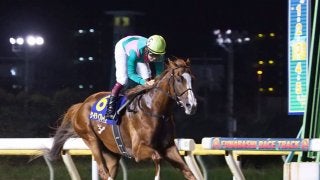 【日本テレビ盃】福永祐一 頭蓋骨骨折から復帰して勝利！ケイティブレイブが抜け出す