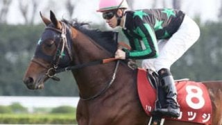 毎日王冠でＧＩ馬は消し。穴党記者が陣営の熱気を察知した３頭が怖い