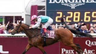 混戦模様の凱旋門賞。強豪馬に対して日本のクリンチャーに勝機は？