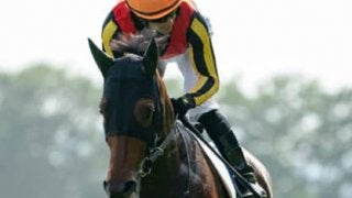 アエロリットが目標になる毎日王冠。逆転候補は決め手ある「３歳馬」