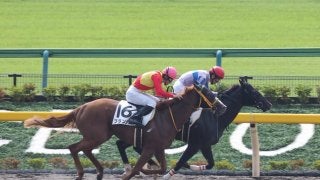 【東京1R/2歳未勝利】エルピドが最内強襲！レースセンスの高さを見せる