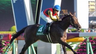 【サウジアラビアRC】豪快な出遅れも圧勝！グランアレグリアが力の違いを見せる