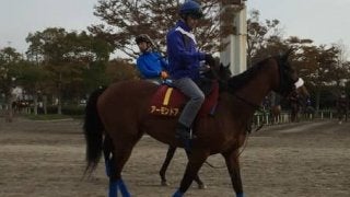 【秋華賞1週前】アーモンドアイ 史上5頭目の3冠へ向け視界良好