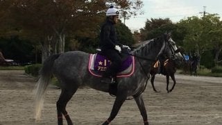 【毎日王冠】アエロリット モレイラ騎乗で不動の主役へ