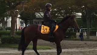 【毎日王冠】ステルヴィオ 得意の1800なら古馬でも通用
