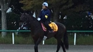 【毎日王冠】ダイワキャグニー 菊沢師「フレッシュな状態」