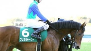 京都大賞典は、この舞台で覚醒しそうな重賞「常連馬３頭」を狙い撃ち