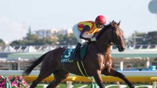 【サウジアラビアRC】モレイラ「スムーズに走れませんでした」ジョッキーコメント