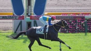 【東京3R/2歳未勝利】単勝万馬券101倍のレディードリーが好タイムで圧勝！