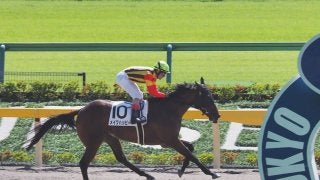 【東京4R/2歳新馬】10馬身差の大楽勝！メイクハッピーがデビュー勝ち