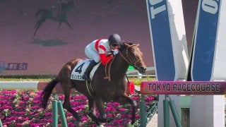 【東京5R/2歳新馬】ダノンラスターが快勝！たけし命名キタノインパクトは4着