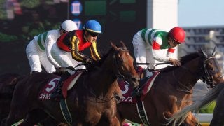 【毎日王冠】ステルヴィオ鋭く追い込むも2着！ルメール「勝った馬が強かった」
