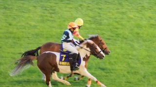 【ジョッキーベイビーズ】木村暁琉くん「凱旋門ジョッキーになること」ハナ差の大接戦を演じる