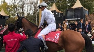 【仏オペラ賞】武豊ラルク13着敗退 ワイルドイリュージョンが優勝