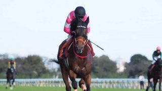【毎日王冠】ケイアイノーテック初古馬対戦で善戦の5着