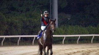 【南部杯】ゴールドドリーム5枠7番、ルヴァンスレーヴ7枠12番 世代交代なるか！？